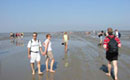 Strandbüro-Bild2